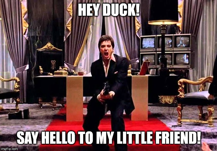Say Hello to my little Friend | HEY DUCK! SAY HELLO TO MY LITTLE FRIEND! | image tagged in say hello to my little friend | made w/ Imgflip meme maker