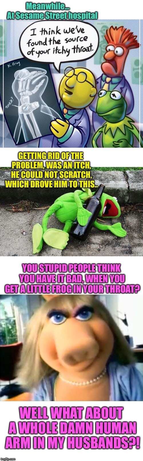 Kermits eventual fate, is in our hands.  | image tagged in memes,sesame street,kermit the frog,miss piggy,funny,stories | made w/ Imgflip meme maker