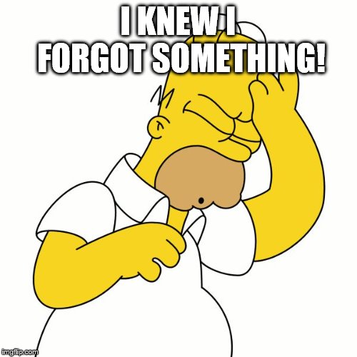 Doh | I KNEW I FORGOT SOMETHING! | image tagged in doh | made w/ Imgflip meme maker