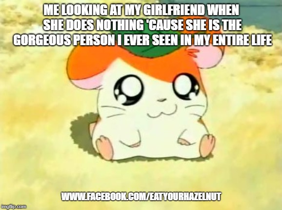 Hamtaro Meme | ME LOOKING AT MY GIRLFRIEND WHEN SHE DOES NOTHING 'CAUSE SHE IS THE GORGEOUS PERSON I EVER SEEN IN MY ENTIRE LIFE; WWW.FACEBOOK.COM/EATYOURHAZELNUT | image tagged in memes,hamtaro | made w/ Imgflip meme maker