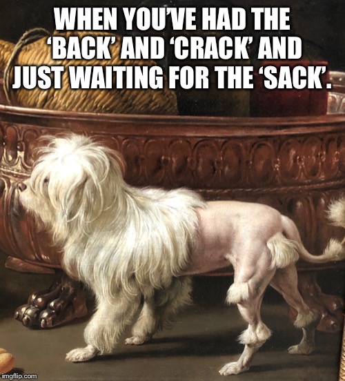WHEN YOU’VE HAD THE ‘BACK’ AND ‘CRACK’ AND JUST WAITING FOR THE ‘SACK’. | image tagged in tfw,funny | made w/ Imgflip meme maker
