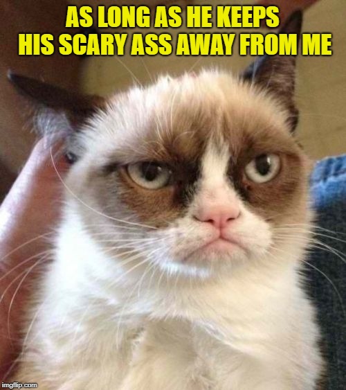 Grumpy Cat Reverse Meme | AS LONG AS HE KEEPS HIS SCARY ASS AWAY FROM ME | image tagged in memes,grumpy cat reverse,grumpy cat | made w/ Imgflip meme maker