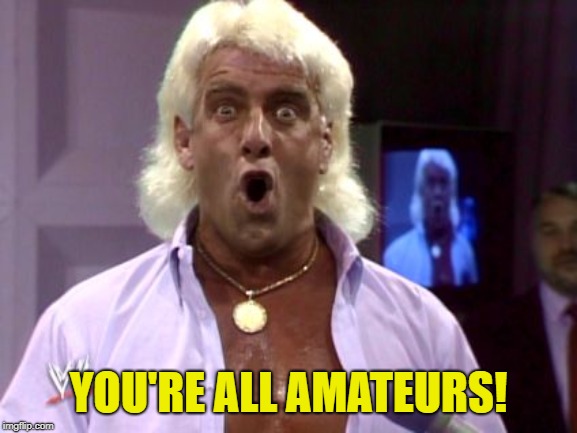 Ric flair friday | YOU'RE ALL AMATEURS! | image tagged in ric flair friday | made w/ Imgflip meme maker