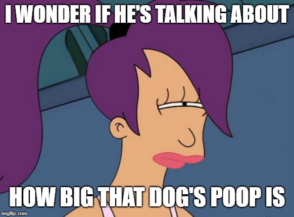 Futurama Leela Meme | I WONDER IF HE'S TALKING ABOUT HOW BIG THAT DOG'S POOP IS | image tagged in memes,futurama leela | made w/ Imgflip meme maker