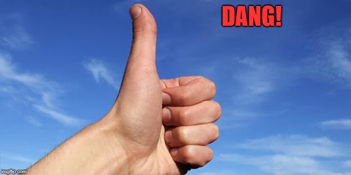 thumbs up | DANG! | image tagged in thumbs up | made w/ Imgflip meme maker