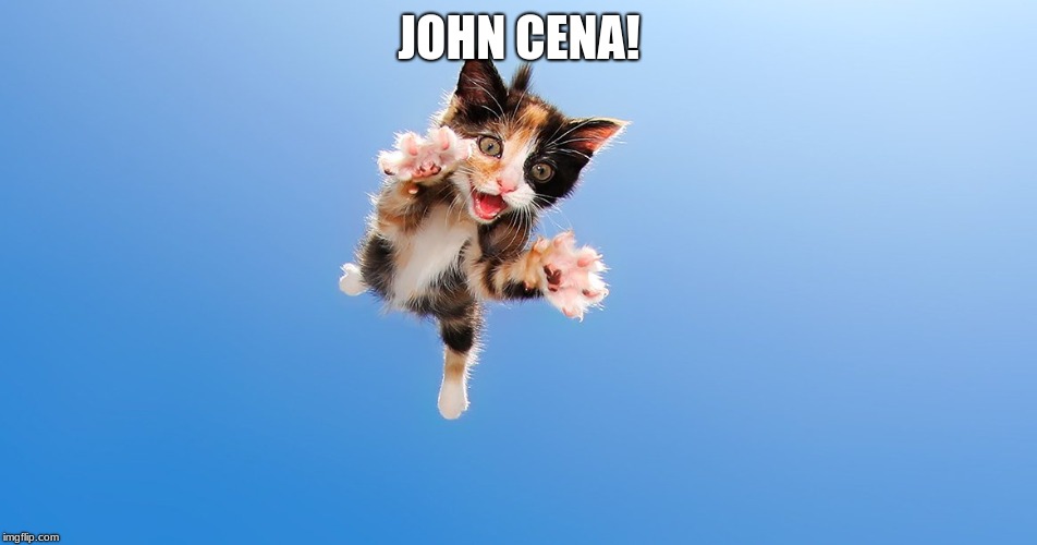 John Cena!! | JOHN CENA! | image tagged in john cena,cat,funny,meme,adorable | made w/ Imgflip meme maker