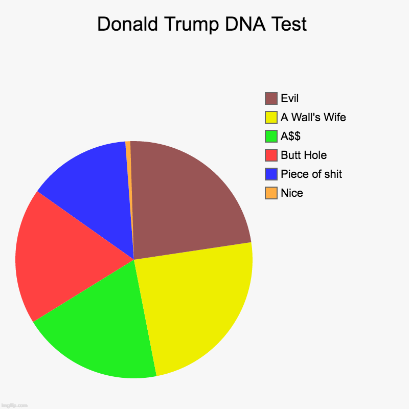 Donald Trump DNA Test | Nice, Piece of shit, Butt Hole, A$$, A Wall's Wife, Evil | image tagged in charts,pie charts | made w/ Imgflip chart maker
