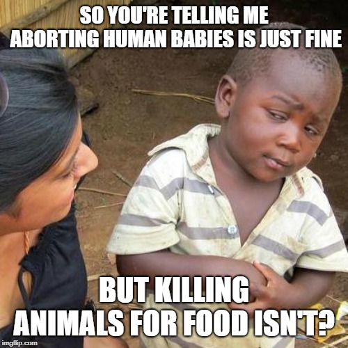 The Life Question Hypocrisy | SO YOU'RE TELLING ME ABORTING HUMAN BABIES IS JUST FINE; BUT KILLING ANIMALS FOR FOOD ISN'T? | image tagged in memes,third world skeptical kid | made w/ Imgflip meme maker