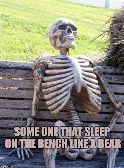 Waiting Skeleton Meme | SOME ONE THAT SLEEP ON THE BENCH LIKE A BEAR | image tagged in memes,waiting skeleton | made w/ Imgflip meme maker