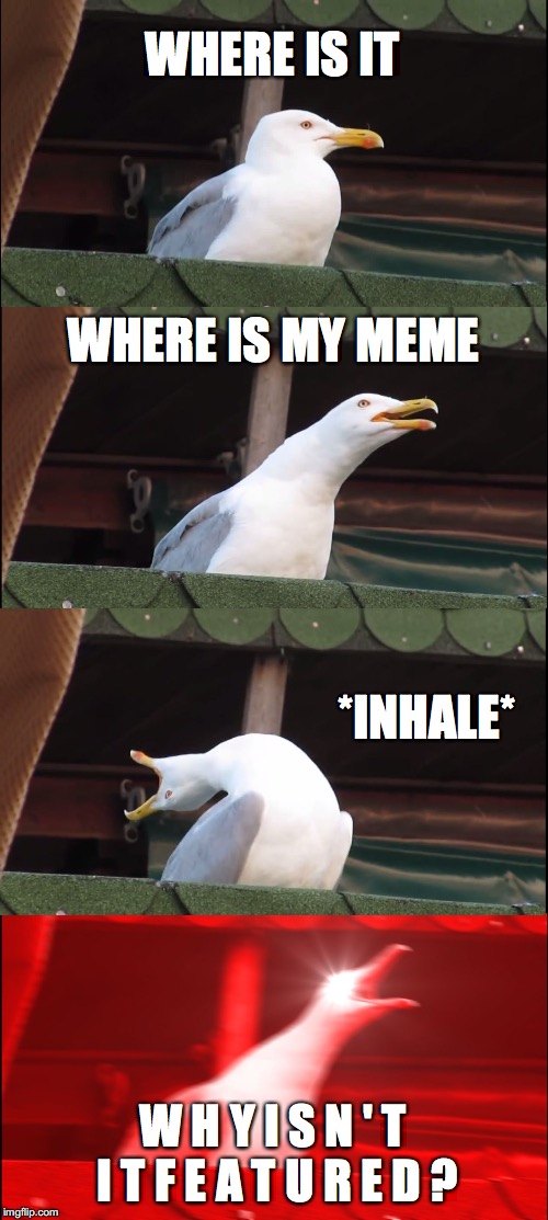 Inhaling Seagull Meme | WHERE IS IT WHERE IS MY MEME *INHALE* W H Y I S N ' T I T F E A T U R E D ? | image tagged in memes,inhaling seagull | made w/ Imgflip meme maker