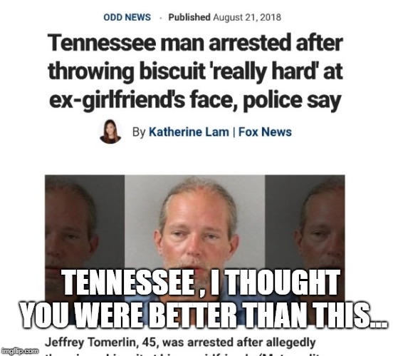 TENNESSEE , I THOUGHT YOU WERE BETTER THAN THIS... | image tagged in tennessee,funny memes,memes | made w/ Imgflip meme maker