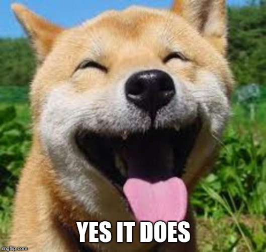 Happy Doge | YES IT DOES | image tagged in happy doge | made w/ Imgflip meme maker