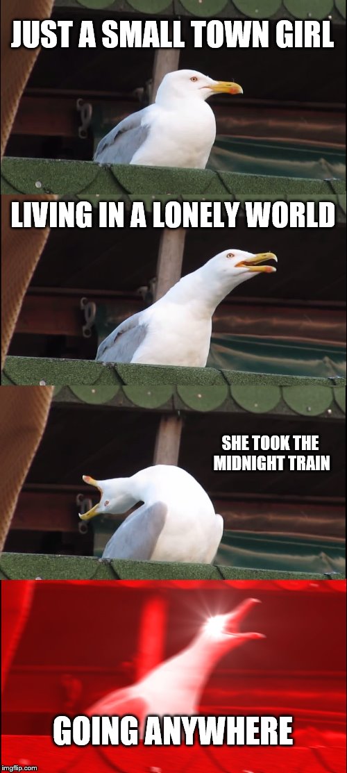 The memes never stop believing! | JUST A SMALL TOWN GIRL; LIVING IN A LONELY WORLD; SHE TOOK THE MIDNIGHT TRAIN; GOING ANYWHERE | image tagged in memes,inhaling seagull | made w/ Imgflip meme maker
