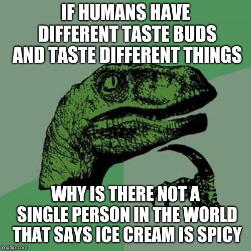 Philosoraptor Meme | IF HUMANS HAVE DIFFERENT TASTE BUDS AND TASTE DIFFERENT THINGS; WHY IS THERE NOT A SINGLE PERSON IN THE WORLD THAT SAYS ICE CREAM IS SPICY | image tagged in memes,philosoraptor | made w/ Imgflip meme maker