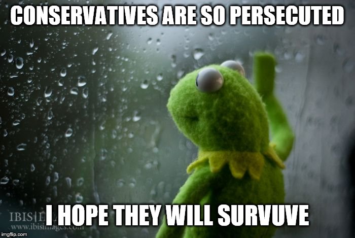 kermit window | CONSERVATIVES ARE SO PERSECUTED I HOPE THEY WILL SURVUVE | image tagged in kermit window | made w/ Imgflip meme maker