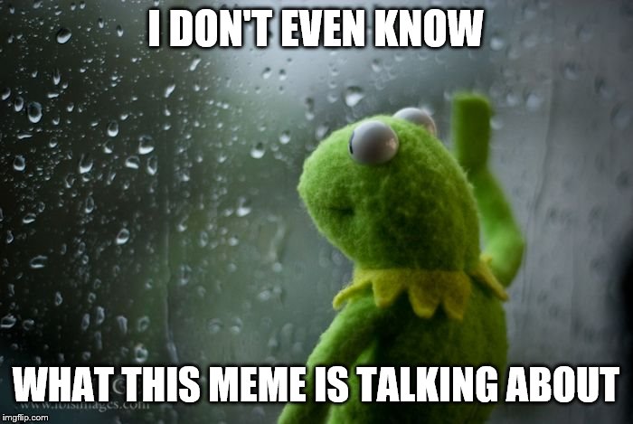 kermit window | I DON'T EVEN KNOW WHAT THIS MEME IS TALKING ABOUT | image tagged in kermit window | made w/ Imgflip meme maker