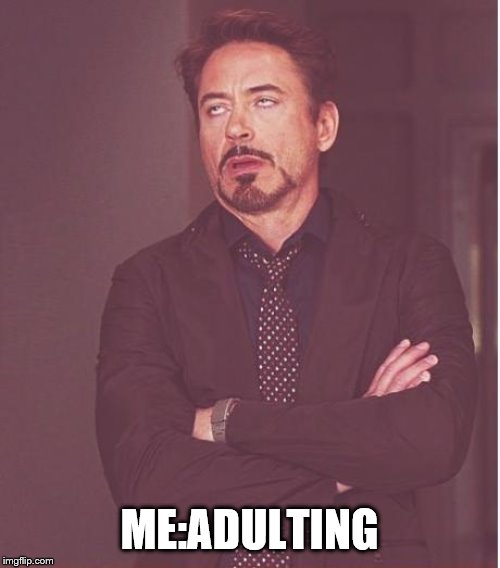 Face You Make Robert Downey Jr Meme | ME:ADULTING | image tagged in memes,face you make robert downey jr | made w/ Imgflip meme maker