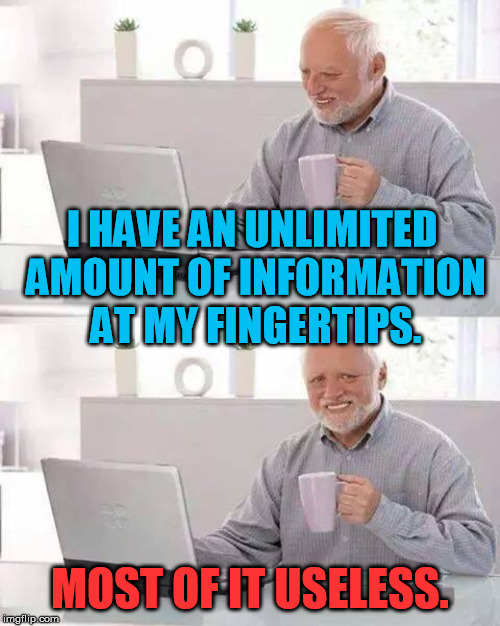 Welcome to the Information Age! | I HAVE AN UNLIMITED AMOUNT OF INFORMATION AT MY FINGERTIPS. MOST OF IT USELESS. | image tagged in memes,hide the pain harold | made w/ Imgflip meme maker