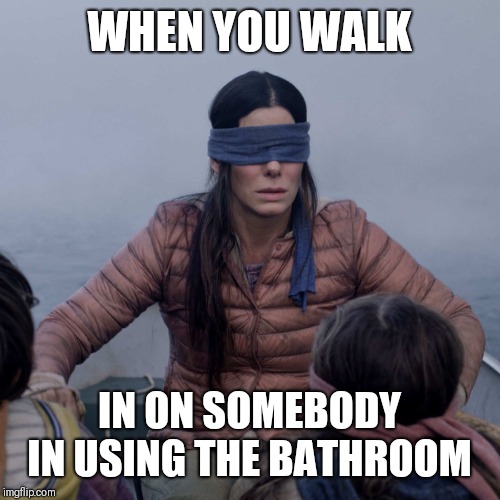 Bird Box | WHEN YOU WALK; IN ON SOMEBODY IN USING THE BATHROOM | image tagged in memes,bird box | made w/ Imgflip meme maker