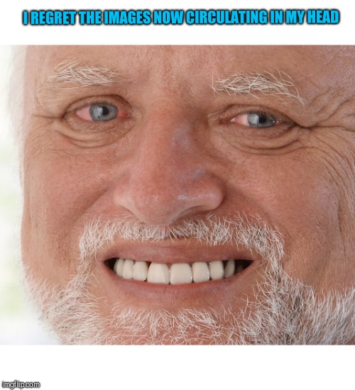 Hide the Pain Harold | I REGRET THE IMAGES NOW CIRCULATING IN MY HEAD | image tagged in hide the pain harold | made w/ Imgflip meme maker