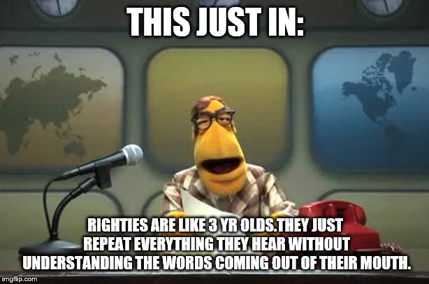 Muppet News Flash | THIS JUST IN: RIGHTIES ARE LIKE 3 YR OLDS.THEY JUST REPEAT EVERYTHING THEY HEAR WITHOUT UNDERSTANDING THE WORDS COMING OUT OF THEIR MOUTH. | image tagged in muppet news flash | made w/ Imgflip meme maker
