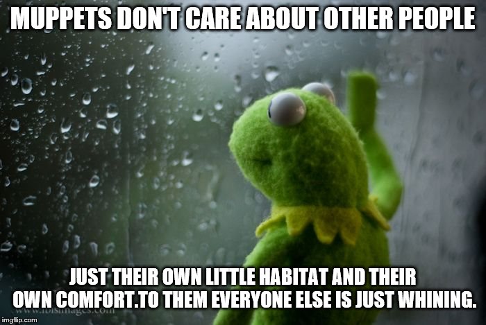 kermit window | MUPPETS DON'T CARE ABOUT OTHER PEOPLE JUST THEIR OWN LITTLE HABITAT AND THEIR OWN COMFORT.TO THEM EVERYONE ELSE IS JUST WHINING. | image tagged in kermit window | made w/ Imgflip meme maker