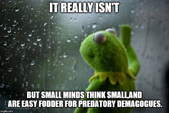 kermit window | IT REALLY ISN'T BUT SMALL MINDS THINK SMALL,AND ARE EASY FODDER FOR PREDATORY DEMAGOGUES. | image tagged in kermit window | made w/ Imgflip meme maker