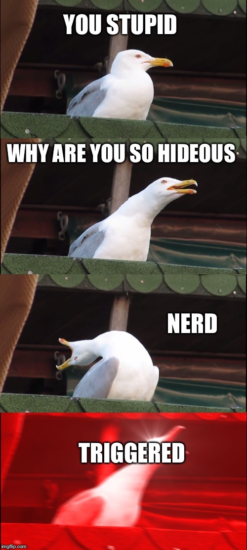 Inhaling Seagull | YOU STUPID; WHY ARE YOU SO HIDEOUS; NERD; TRIGGERED | image tagged in memes,inhaling seagull | made w/ Imgflip meme maker