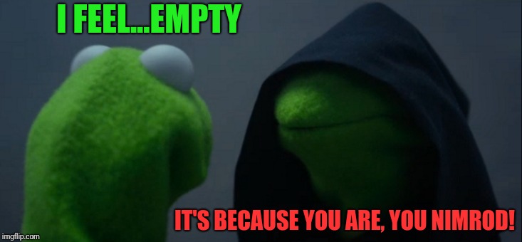 Evil Kermit Meme | I FEEL...EMPTY IT'S BECAUSE YOU ARE, YOU NIMROD! | image tagged in memes,evil kermit | made w/ Imgflip meme maker