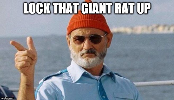 Bill Murray wishes you a happy birthday | LOCK THAT GIANT RAT UP | image tagged in bill murray wishes you a happy birthday | made w/ Imgflip meme maker