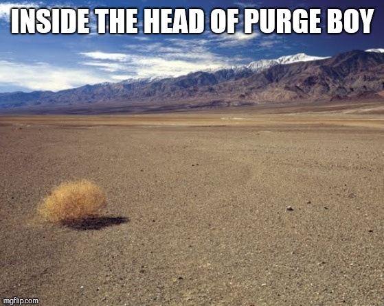 tumble weed | INSIDE THE HEAD OF PURGE BOY | image tagged in tumble weed | made w/ Imgflip meme maker