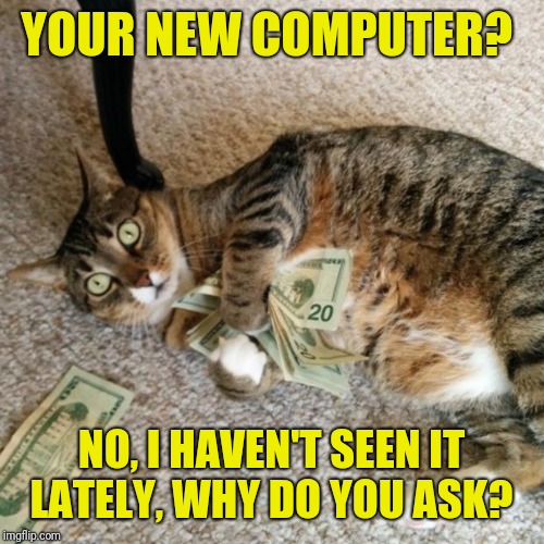 A kitty comes into some money and everyone goes nuts! Geez!  | YOUR NEW COMPUTER? NO, I HAVEN'T SEEN IT LATELY, WHY DO YOU ASK? | image tagged in money cat,robbery,memes,cats,computers/electronics,it is what it is | made w/ Imgflip meme maker