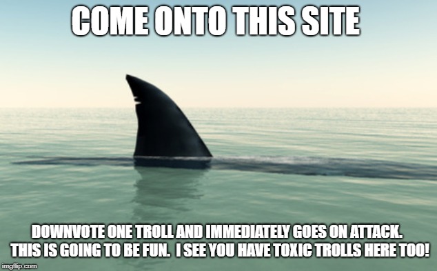 shark fin soup | COME ONTO THIS SITE; DOWNVOTE ONE TROLL AND IMMEDIATELY GOES ON ATTACK.  THIS IS GOING TO BE FUN.  I SEE YOU HAVE TOXIC TROLLS HERE TOO! | image tagged in internet trolls,imgflip users | made w/ Imgflip meme maker