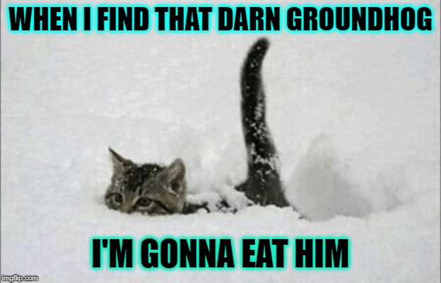 WHEN I FIND THAT DARN GROUNDHOG; I'M GONNA EAT HIM | image tagged in darn groundhog | made w/ Imgflip meme maker