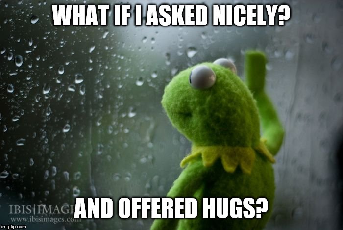 kermit window | WHAT IF I ASKED NICELY? AND OFFERED HUGS? | image tagged in kermit window | made w/ Imgflip meme maker