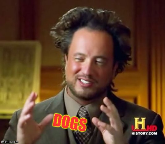 Ancient Aliens Meme | DOGS | image tagged in memes,ancient aliens | made w/ Imgflip meme maker