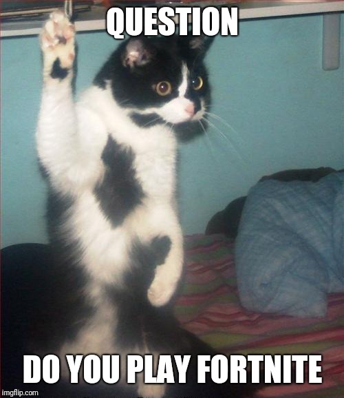 question cat | QUESTION DO YOU PLAY FORTNITE | image tagged in question cat | made w/ Imgflip meme maker