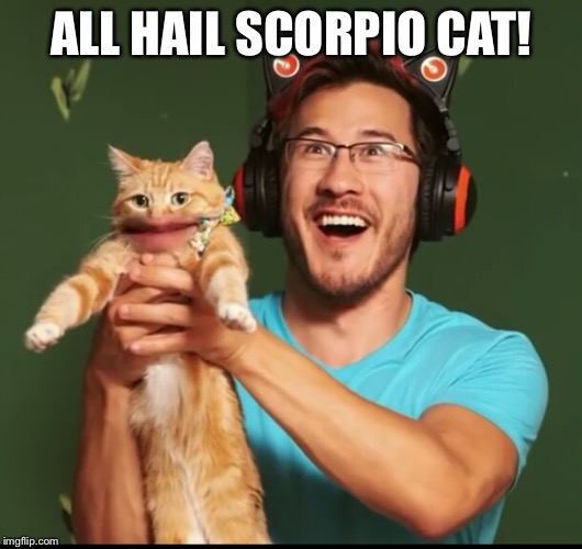 All hail the scorpion cat | ALL HAIL SCORPIO CAT! | image tagged in all hail the scorpion cat | made w/ Imgflip meme maker