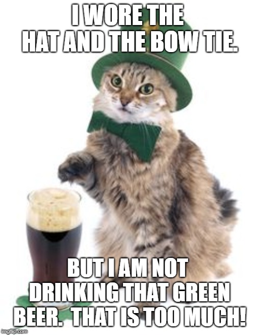Irish cat | I WORE THE HAT AND THE BOW TIE. BUT I AM NOT DRINKING THAT GREEN BEER.  THAT IS TOO MUCH! | image tagged in irish cat | made w/ Imgflip meme maker