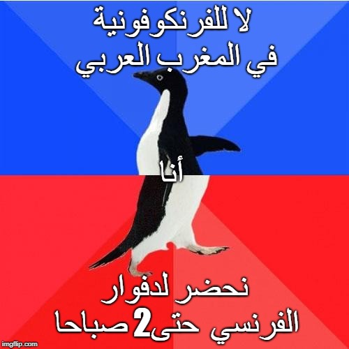 Socially Awkward Awesome Penguin Meme | لا للفرنكوفونية في المغرب العربي; أنا; نحضر لدفوار الفرنسي  حتى2 صباحا | image tagged in memes,socially awkward awesome penguin | made w/ Imgflip meme maker
