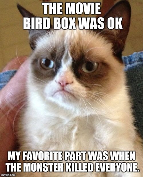 i am never letting my pets watch movies with me | THE MOVIE BIRD BOX WAS OK; MY FAVORITE PART WAS WHEN THE MONSTER KILLED EVERYONE. | image tagged in memes,grumpy cat | made w/ Imgflip meme maker