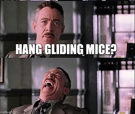 spiderman laugh 2 | HANG GLIDING MICE? | image tagged in spiderman laugh 2 | made w/ Imgflip meme maker