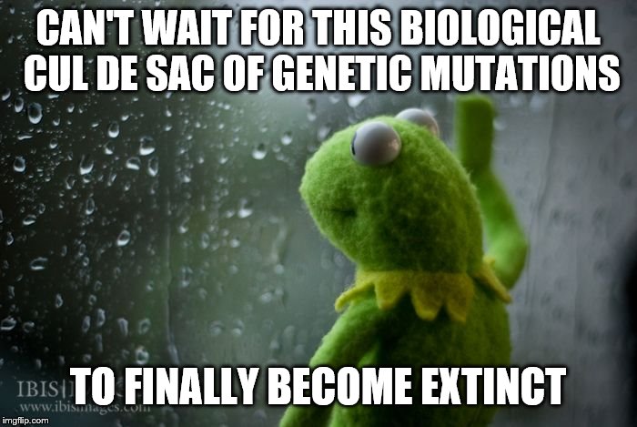 kermit window | CAN'T WAIT FOR THIS BIOLOGICAL CUL DE SAC OF GENETIC MUTATIONS TO FINALLY BECOME EXTINCT | image tagged in kermit window | made w/ Imgflip meme maker