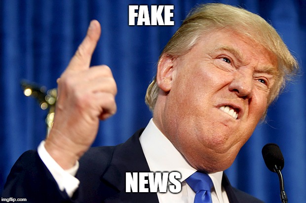 Donald Trump | FAKE NEWS | image tagged in donald trump | made w/ Imgflip meme maker