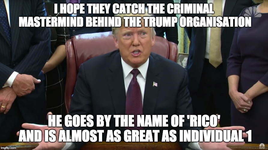 Deranged Trump Syndrome | I HOPE THEY CATCH THE CRIMINAL MASTERMIND BEHIND THE TRUMP ORGANISATION; HE GOES BY THE NAME OF 'RICO' AND IS ALMOST AS GREAT AS INDIVIDUAL 1 | image tagged in deranged trump syndrome | made w/ Imgflip meme maker
