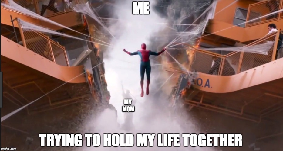 ME; MY MOM; TRYING TO HOLD MY LIFE TOGETHER | made w/ Imgflip meme maker