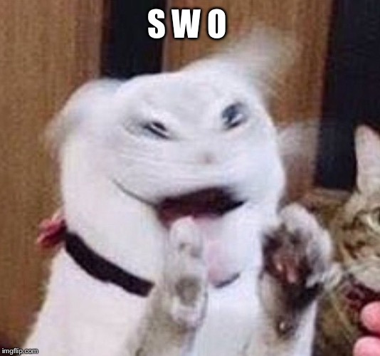 Swo | S W O | image tagged in yee | made w/ Imgflip meme maker