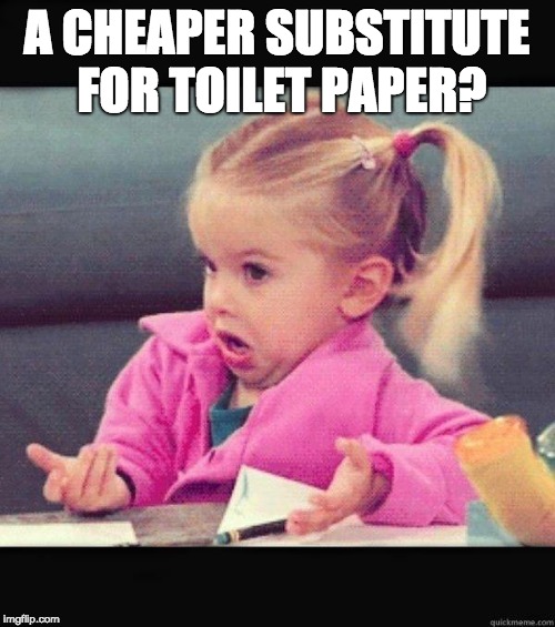 I dont know girl | A CHEAPER SUBSTITUTE FOR TOILET PAPER? | image tagged in i dont know girl | made w/ Imgflip meme maker