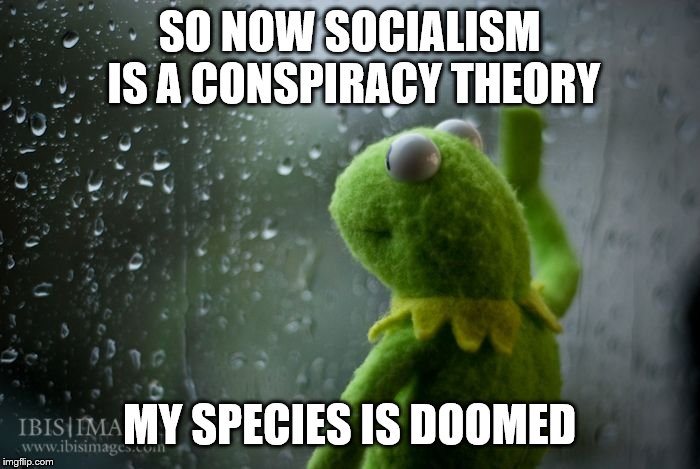 kermit window | SO NOW SOCIALISM IS A CONSPIRACY THEORY MY SPECIES IS DOOMED | image tagged in kermit window | made w/ Imgflip meme maker