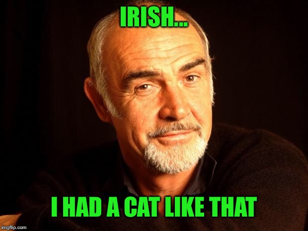 Sean Connery Of Coursh | IRISH... I HAD A CAT LIKE THAT | image tagged in sean connery of coursh | made w/ Imgflip meme maker